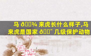 马 🌾 来虎长什么样子,马来虎是国家 🐯 几级保护动物